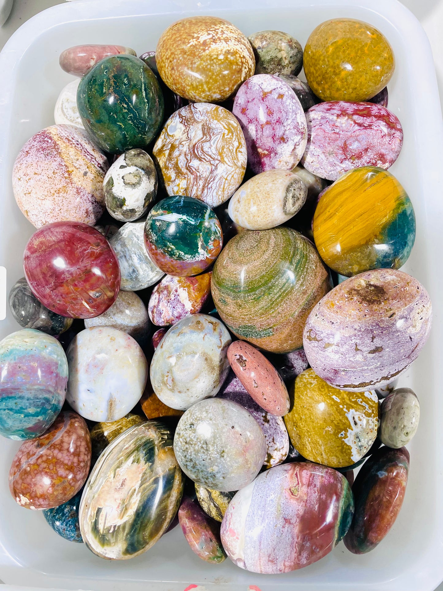 Ocean jasper palm